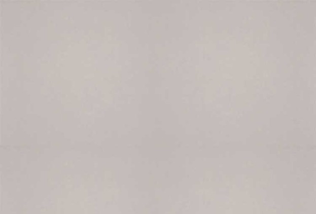 Zipscreen-Starscreen-Pelican