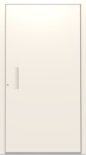 Haustuerfuellung-freigestellte Haustuer geschlossen RAL beige