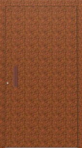 Haustuerfuellung-freigestellte Haustuer geschlossen Rostoptik